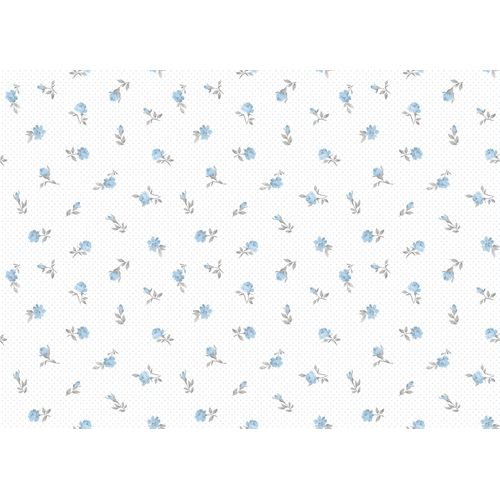 Pippo-455-1 Pippo-455-1