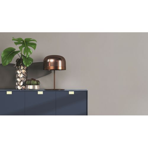 Liso-Cinza-Ambiente-487545 Liso-Cinza-Ambiente-487545