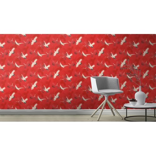 Garcas-Vermelha-e-Bege-Ambiente-560671 Garcas-Vermelha-e-Bege-Ambiente-560671