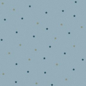 Estrelas-Fundo-azul-FF4046