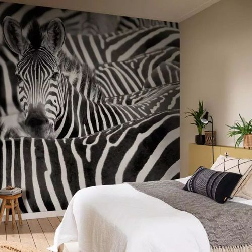 Papel-de-Parede-African-Queen-III-Fotografico-BrancoPreto-363616 Papel-de-Parede-African-Queen-III-Fotografico-BrancoPreto-363616