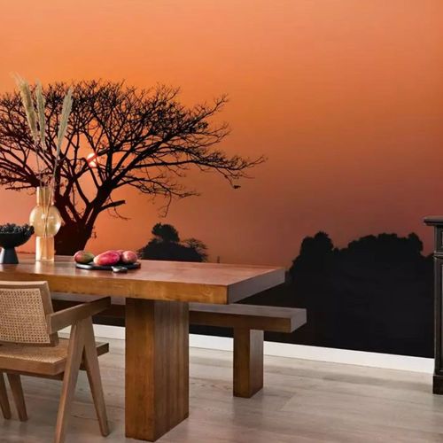 Papel-de-Parede-African-Queen-III-Fotografico-Laranja-363647 Papel-de-Parede-African-Queen-III-Fotografico-Laranja-363647