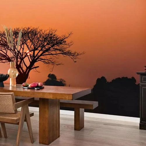 Papel-de-Parede-African-Queen-III-Fotografico-Laranja-363654 Papel-de-Parede-African-Queen-III-Fotografico-Laranja-363654