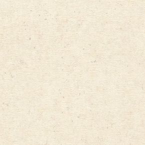 Papel-de-Parede-African-Queen-III-Concreto-Bege-520835