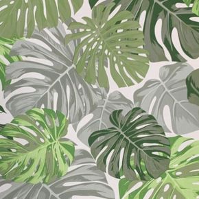 Papel-de-Parede-Santorini-Folhagem-Verde-SN42