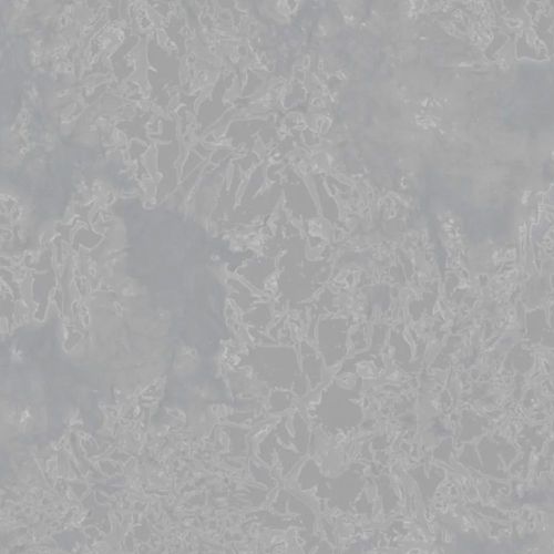 Papel-de-Parede-Colorkey-Moderno-Cinza-e-Prata-COL1046 Papel-de-Parede-Colorkey-Moderno-Cinza-e-Prata-COL1046