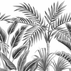 Papel-de-Parede-Wanderlust-Folhagem-Branco-A40801