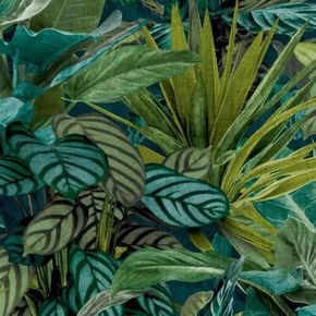 Papel-de-Parede-Wanderlust-Folhagem-Verde-WL2001
