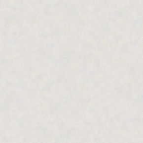 Papel-de-Parede-Nature-Cimento-Queimado-Cinza-TONU8003