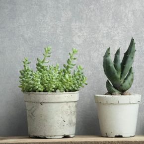 Papel-de-Parede-Jackie-Textura-Cinza-6826-30