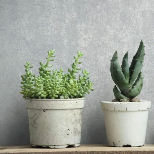 Papel-de-Parede-Jackie-Textura-Cinza-6826-30 Papel-de-Parede-Jackie-Textura-Cinza-6826-30