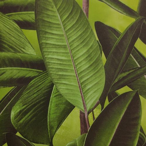 Papel-de-Parede-Grace-4-Folhagem-Verde-GR402101 Papel-de-Parede-Grace-4-Folhagem-Verde-GR402101