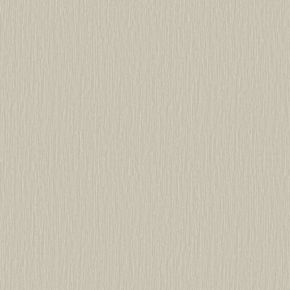 Papel-de-Parede-Criativo-II-Textura-Bege-CR333506R