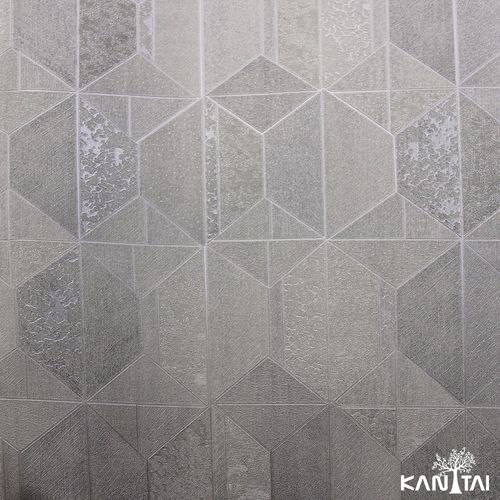 Papel-de-Parede-Elegance-5-Geometrico-Cinza-EL500602R Papel-de-Parede-Elegance-5-Geometrico-Cinza-EL500602R