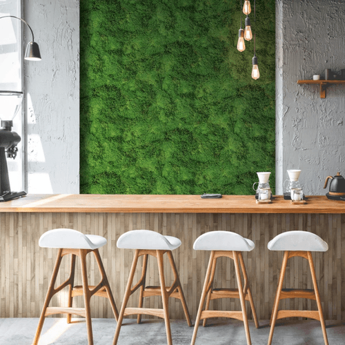 Papel-de-Parede-Struktura-Folhagem-Verde-45733 Papel-de-Parede-Struktura-Folhagem-Verde-45733