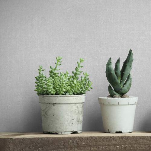 Papel-de-Parede-Struktura-Textura-Cinza-45776 Papel-de-Parede-Struktura-Textura-Cinza-45776