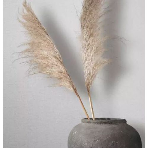 Papel-de-Parede-Sheilas-Textura-Branco-34025 Papel-de-Parede-Sheilas-Textura-Branco-34025