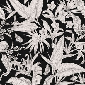 Papel-de-Parede-Botanica-HF-Folhagem-Preto-81475