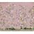 Painel-de-Parede-Biomas-Folhagem-Rosa-83080
