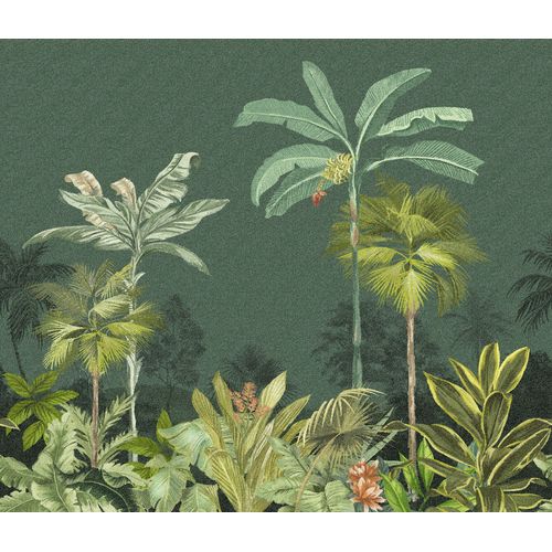 Painel-de-Parede-Biomas-Paisagens-Verde-83219 Painel-de-Parede-Biomas-Paisagens-Verde-83219