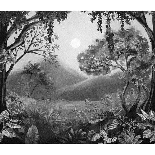 Painel-de-Parede-Biomas-Paisagens-Preto-83363 Painel-de-Parede-Biomas-Paisagens-Preto-83363