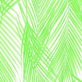 Papel-de-Parede-Vince-Folhagem-Verde-V1012-56