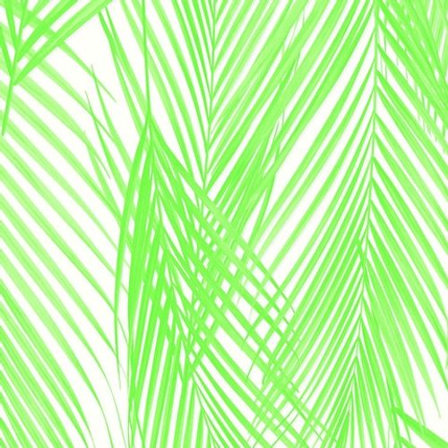 Papel-de-Parede-Vince-Folhagem-Verde-V1012-56 Papel-de-Parede-Vince-Folhagem-Verde-V1012-56