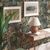 Papel-de-Parede-Antigua-Folhagem-Verde-390955AG