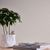 Papel-de-Parede-Famous-Garden-Folhagem-Bege-390732