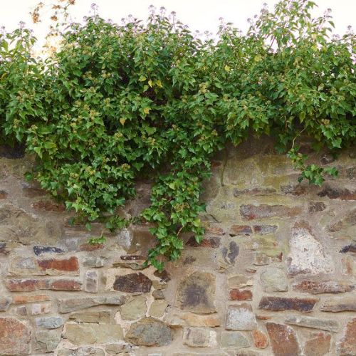 Painel-de-Parede-The-Wall-2-Tijolo-Colorido-392471 Painel-de-Parede-The-Wall-2-Tijolo-Colorido-392471