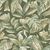 Belize-bz3106.jpg