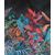 Belize-bz6001.jpg
