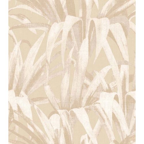 Botany-House-15521.jpg Botany-House-15521.jpg