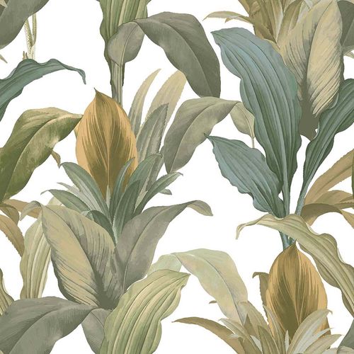 Botany-House-15513.jpg Botany-House-15513.jpg