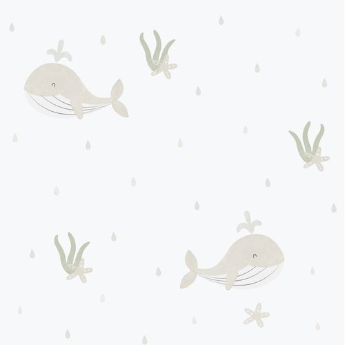 Enzo-281-3.jpg Enzo-281-3.jpg