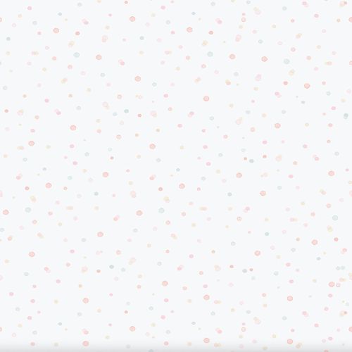 Enzo-289-1.jpg Enzo-289-1.jpg