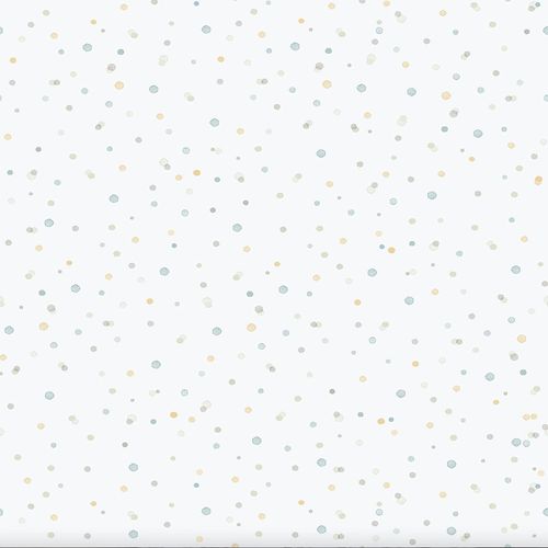 Enzo-289-2.jpg Enzo-289-2.jpg