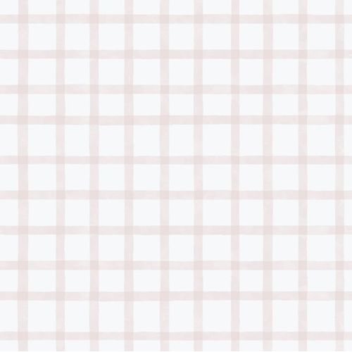 Enzo-290-1.jpg Enzo-290-1.jpg