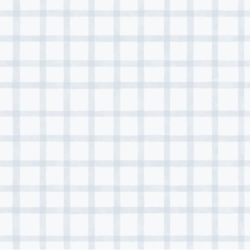 Enzo-290-2.jpg Enzo-290-2.jpg