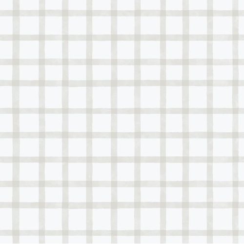 Enzo-290-3.jpg Enzo-290-3.jpg