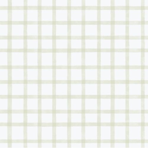 Enzo-290-4.jpg Enzo-290-4.jpg