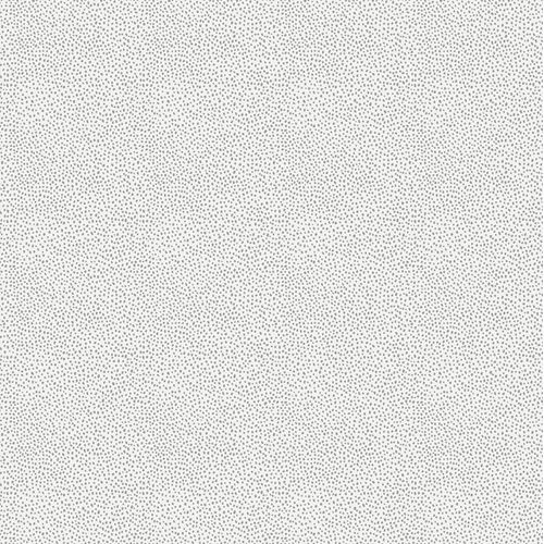 Enzo-294-5.jpg Enzo-294-5.jpg