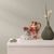 Papel-de-Parede-Ivy-Textura-Bege-6811-20