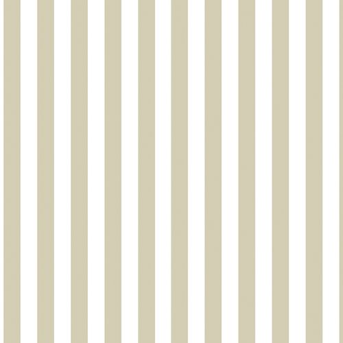 Papel de Parede Top Stripes Listras Cor Verde TS38453