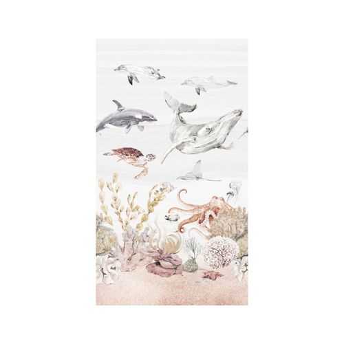 Daydreamers-A71601.jpg Daydreamers-A71601.jpg